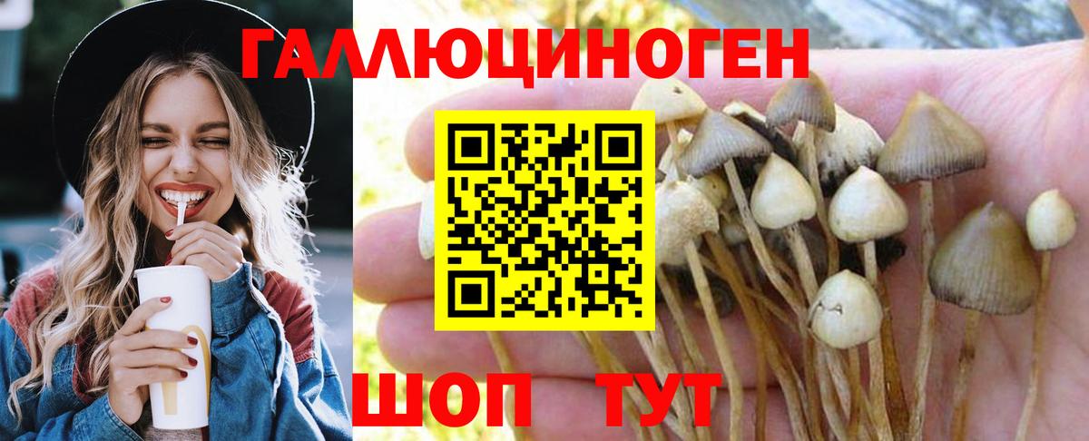Псилоцибиновые грибы MAGIC MUSHROOMS  Вход с VPN  Мирный 